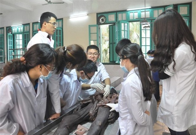 Can canh phong xac cua Dai hoc Y Ha Noi hinh anh 3