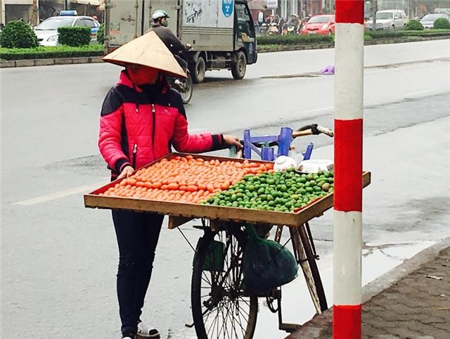hoa quả đầu mùa, mận, nhót, hoa quả, bán rong, dân hà thành,