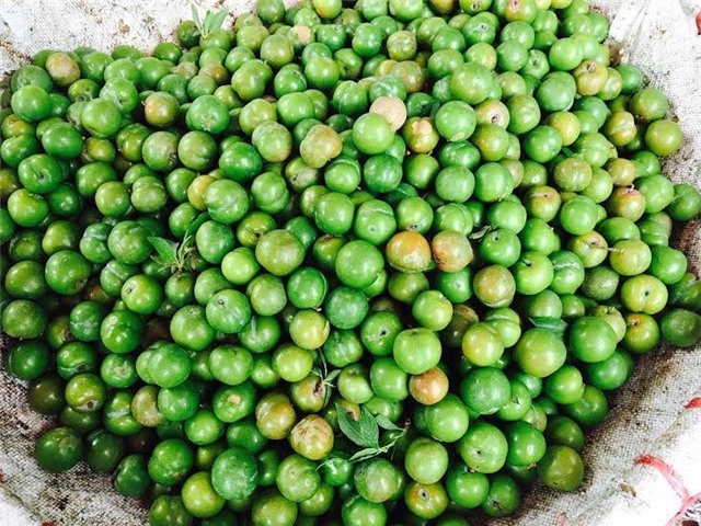 hoa quả đầu mùa, mận, nhót, hoa quả, bán rong, dân hà thành,
