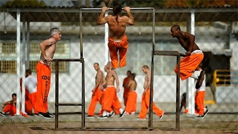 toi pham au dam kho che giau than phan trong nha tu my hinh anh 2