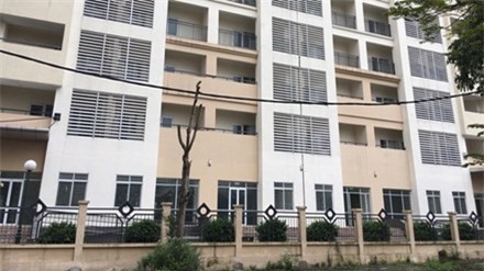 Ky tuc xa nghin ty bo hoang hinh anh 1