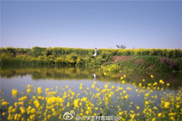 nu quan chuc trung quoc hoa