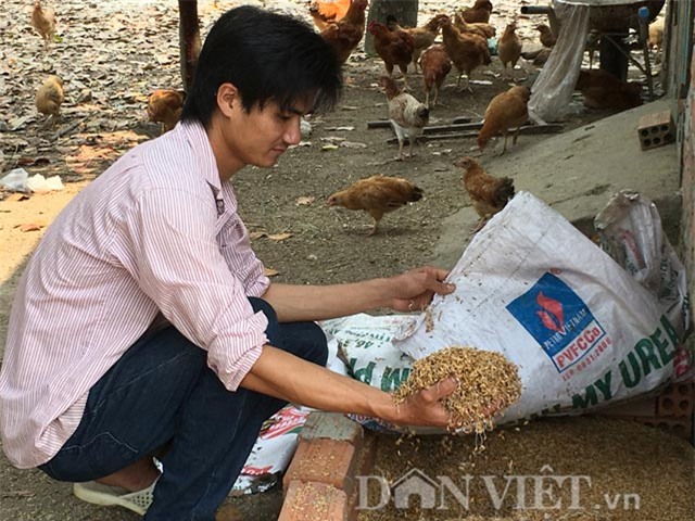 trang trai 6000 con ga sach nuoi theo kieu