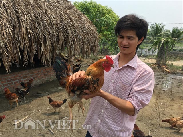 trang trai 6000 con ga sach nuoi theo kieu