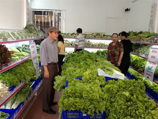 rau xanh, rau xanh tắm thuốc trừ sâu, thuốc trừ sâu, rau cải xanh, cải ngọt, phun nhiều thuốc trừ sâu, thực phẩm bẩn, hóa chất. nhiễm độc, ung thư