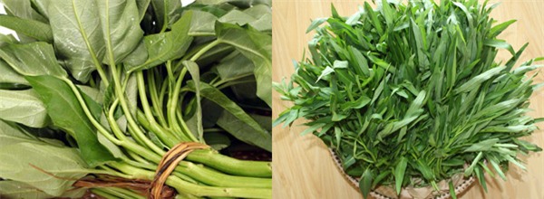 rau sạch, rau an toàn, thực phẩm bẩn, thuốc trừ sâu, chất kích thích, mẹo chọn rau sạch