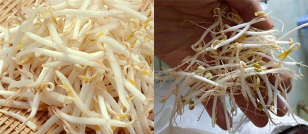 rau sạch, rau an toàn, thực phẩm bẩn, thuốc trừ sâu, chất kích thích, mẹo chọn rau sạch