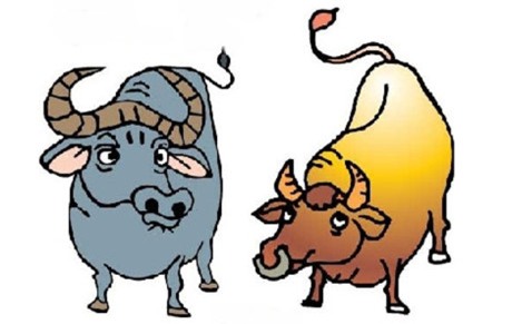 Top 3 con giap co so huong hanh phuc ca doi - Anh 2