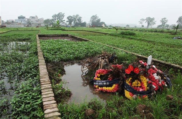 rau nghĩa địa, rau sạch, rau bẩn, rau trồng ở nghĩa trang, Vân Quỳnh
