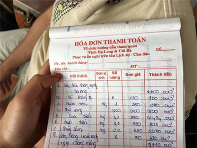 chuyen di mat gan 10 trieu dong, tau du lich ha long bi phat hinh anh 1