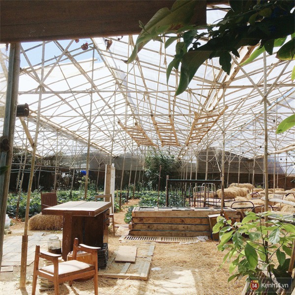 Những tiêu chuẩn ăn chơi mới nhất của giới trẻ Việt - Ảnh 15.