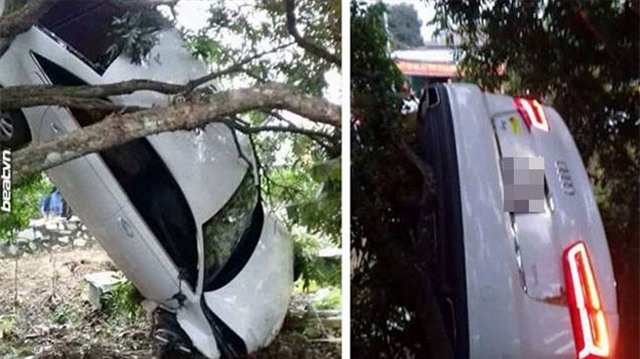 Tuyên Quang: Audi A6 chổng ngược, mắc vào cây nhãn - Ảnh 1.