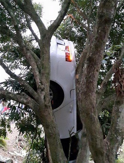 Tuyên Quang: Audi A6 chổng ngược, mắc vào cây nhãn - Ảnh 3.