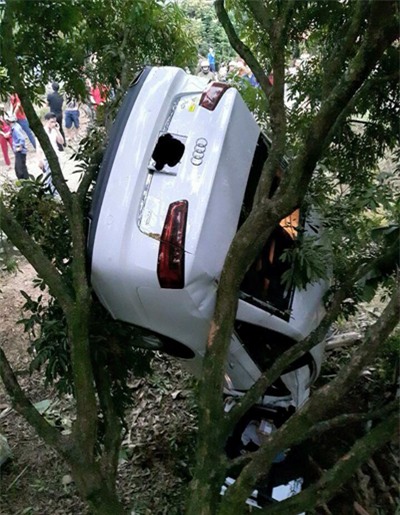 Tuyên Quang: Audi A6 chổng ngược, mắc vào cây nhãn - Ảnh 4.