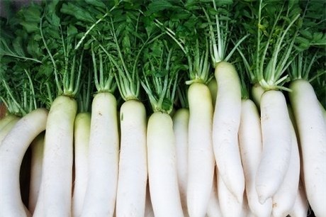 phong ngua ung thu bang... cu cai hinh anh 1