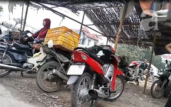 lợn