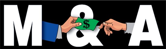 đầu tư tài chính, phát hành cổ phiếu, cổ đông chiến lược, mua bán sáp nhập, thâu tóm, quy mô doanh nghiệp, năng lực cạnh tranh, phát hành riêng lẻ, tài chính doanh nghiệp, Nguyễn Thị Nga, Trần Trọng Kiên, Nguyễn Thanh Hùng