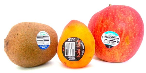 Thuc pham gieo trong tu nhien