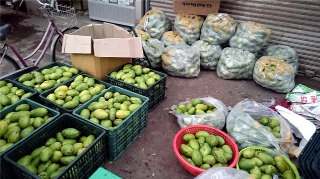 Nông sản, nông sản campuchia, nông sản Việt Nam, gạo campuchia, xoài keo, xoài campchia, hội nhập, TPP, cộng đồng ASEAN