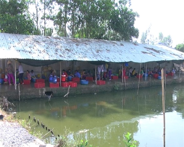 60 người đang làm việc tại cơ sở giết mổ gia cầm của ông Lợi hầu hết không có hợp đồng lao động và giấy khám sức khỏe.