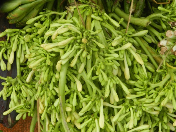 6 loại rau rừng chỉ ăn thử đã thấy thương nhớ khôn nguôi ở Tây Bắc