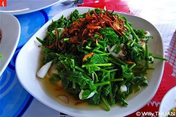 nhung-loai-rau-dai-dac-san