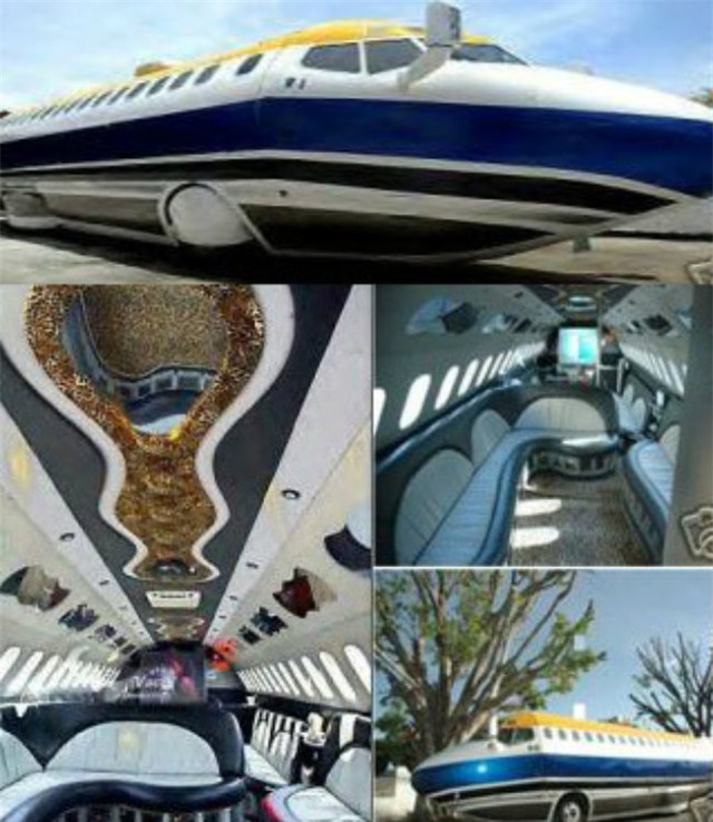 top 10 xe limousine dai nhat, xa xi nhu vu truong di dong hinh anh 14