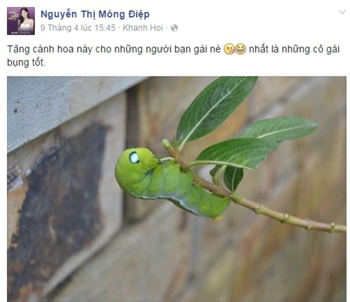 Kỳ Hân đang gây chiến với Ly Kute? - Ảnh 1.