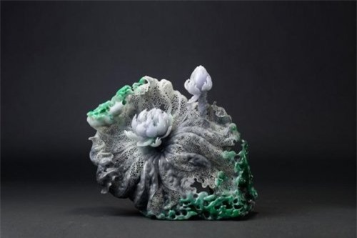 Ảnh minh họa hoa sen ngọc thạch (Ảnh: Internet)