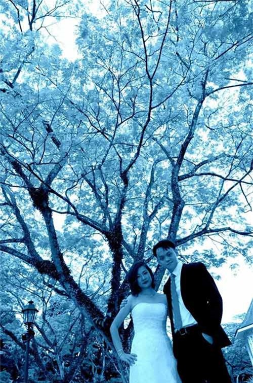 them mot bo anh cuoi tham hoa cua cap doi singapore - 8