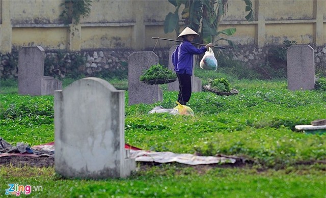 Rau trong tai nghia dia co an duoc khong? hinh anh 1