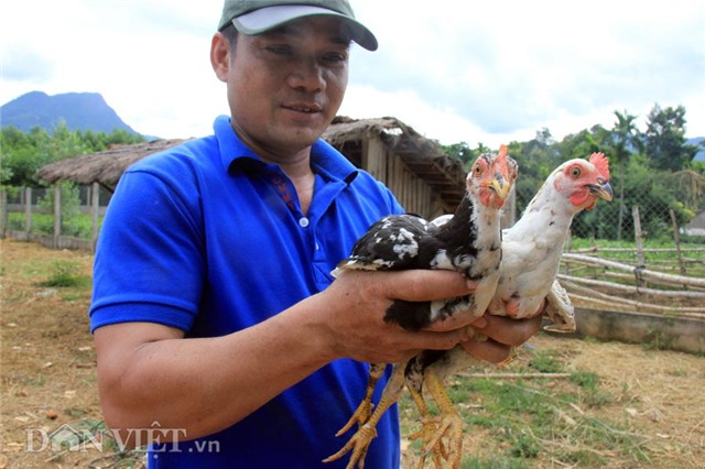 “tu doc dac san" noi tieng dat quang ngai hinh anh 7