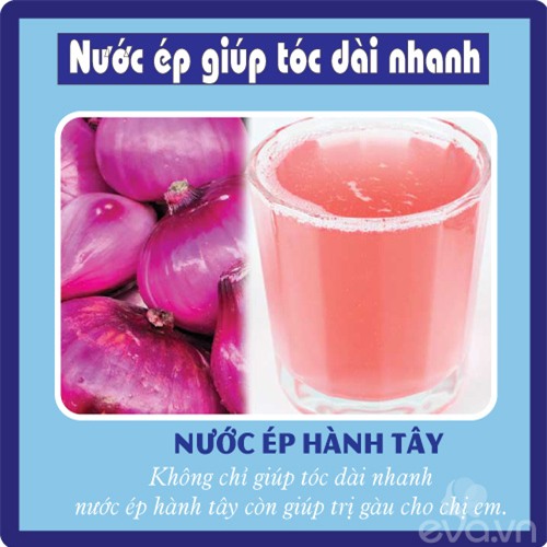 8 loai nuoc ep ngon bo re lai giup toc dai nhanh ong muot - 4