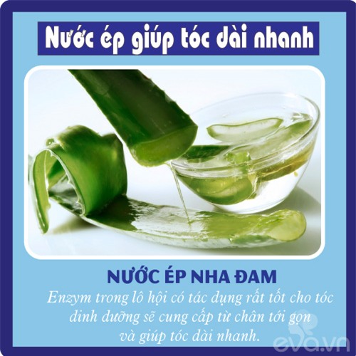 8 loai nuoc ep ngon bo re lai giup toc dai nhanh ong muot - 6