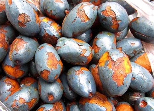 5 dac san nhat dinh ban phai thu khi ve dat to - 3