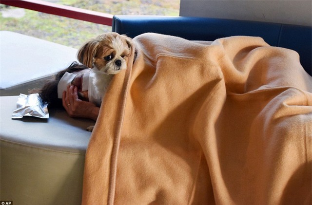 Chùm ảnh: Người dân Nhật Bản thẫn thờ sau trận động đất khiến gần 1.000 người thương vong - Ảnh 6.