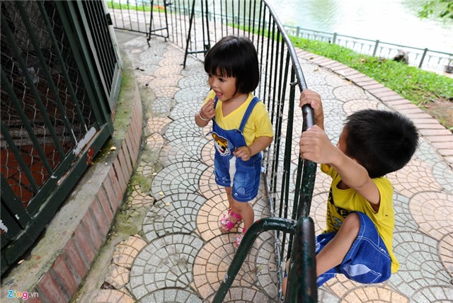 Vuon bach thu Ha Noi dip le gio To dong nghet hinh anh 10