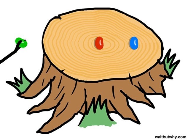 Dan mang khong the giai bai toan hat dau cua tre em hinh anh 1