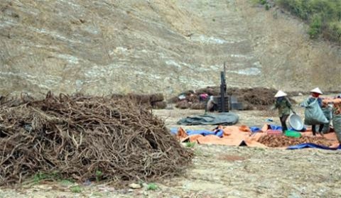 dược liệu quý, Nam dược