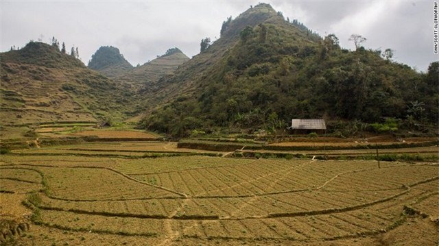 bao my viet ve nan buon co dau tuoi teen vn sang tq hinh anh 5