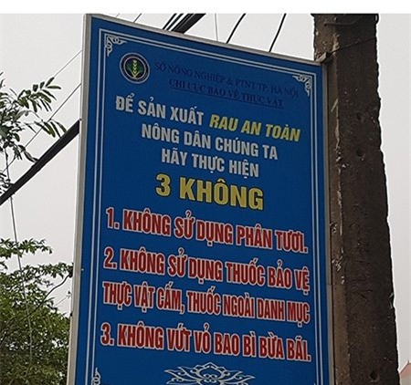 su that khung khiep o vua rau an toan cung ung cho dau moi thu do hinh anh 2