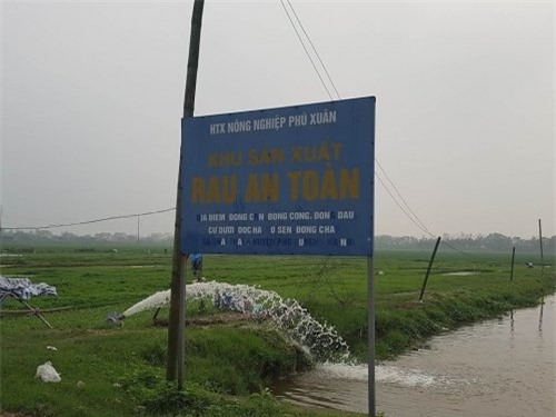 su that khung khiep o vua rau an toan cung ung cho dau moi thu do hinh anh 3