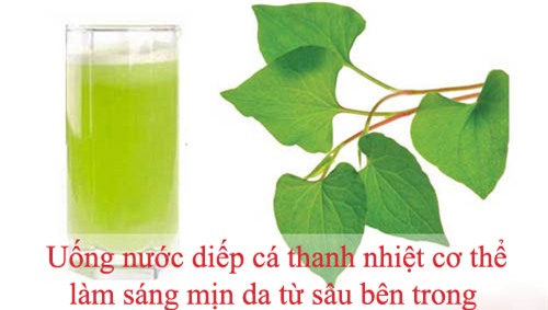 dep tu a toi z chi bang mot loai rau 10 ngan dong/kg - 2