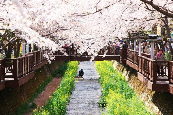 jinhae