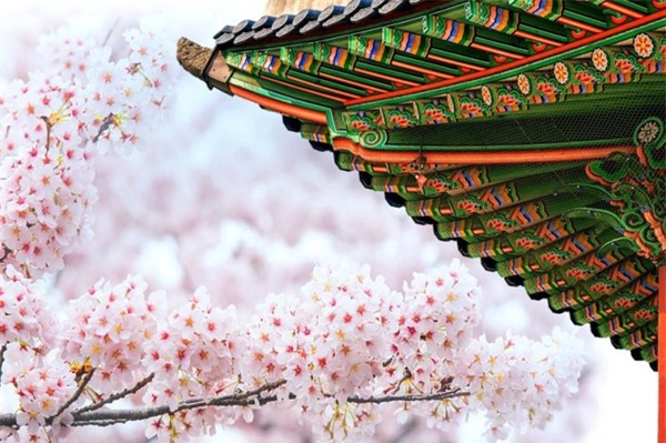 cung gyeongbokgung