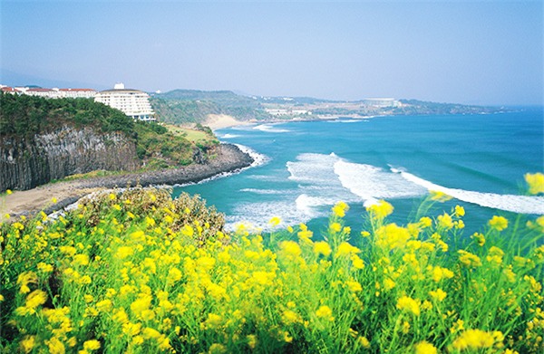 đảo jeju