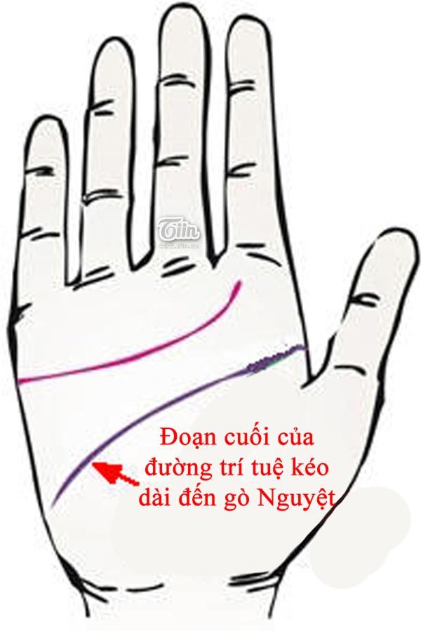Bàn tay bộc lộ giác quan thứ 6 siêu nhạy