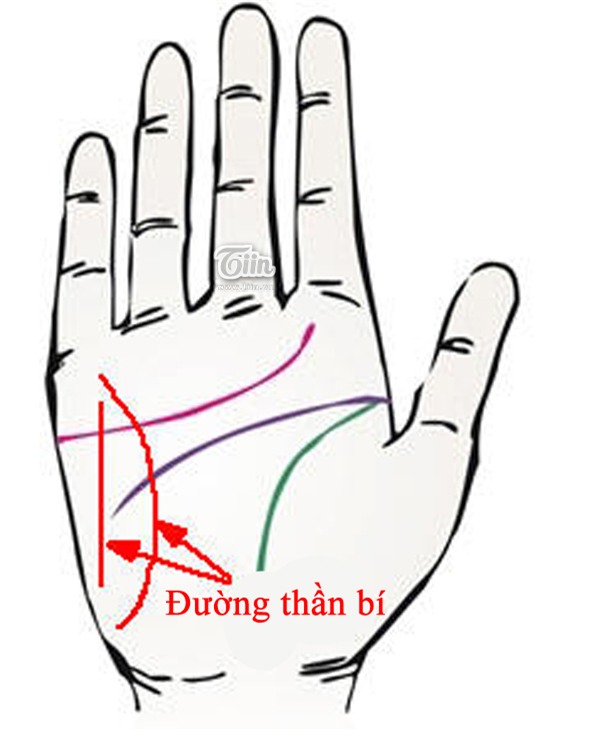 Bàn tay bộc lộ giác quan thứ 6 siêu nhạy