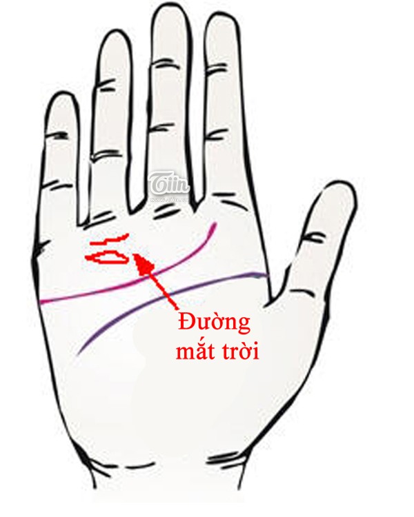 Bàn tay bộc lộ giác quan thứ 6 siêu nhạy