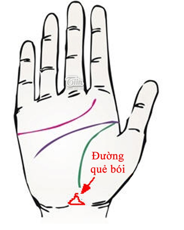 Bàn tay bộc lộ giác quan thứ 6 siêu nhạy